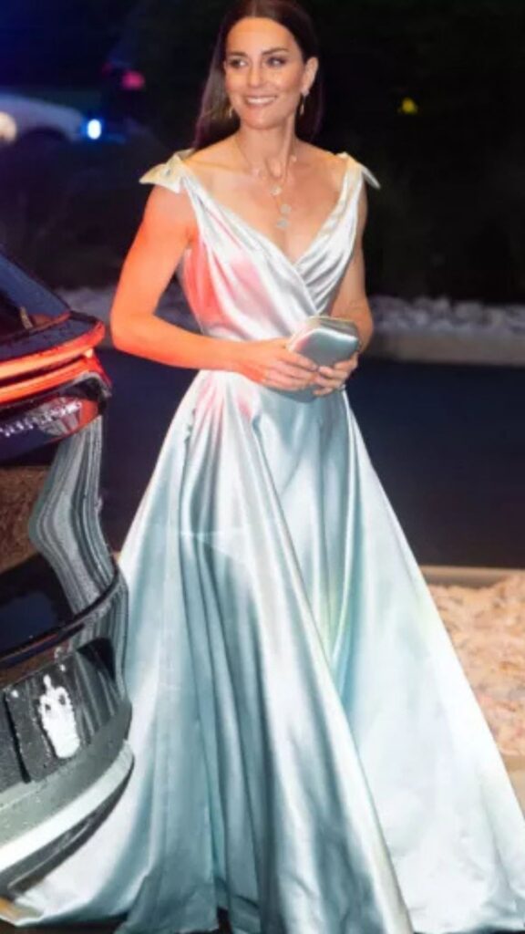 The Lulu Guinness Hayworth Clutch Bag in Sea Blue Satin complements the gown's soft, flowing silhouette with its sleek, modern design. The bag’s delicate satin finish echoes the dress’s lustrous fabric, while its refined shape maintains a sophisticated balance against the gown's dramatic neckline and shoulder details. The serene blue hue enhances the overall elegance, making it a striking accessory for the evening look.